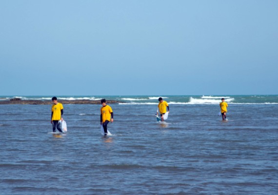 The Shuvalan coast of the Caspian has been cleared of waste