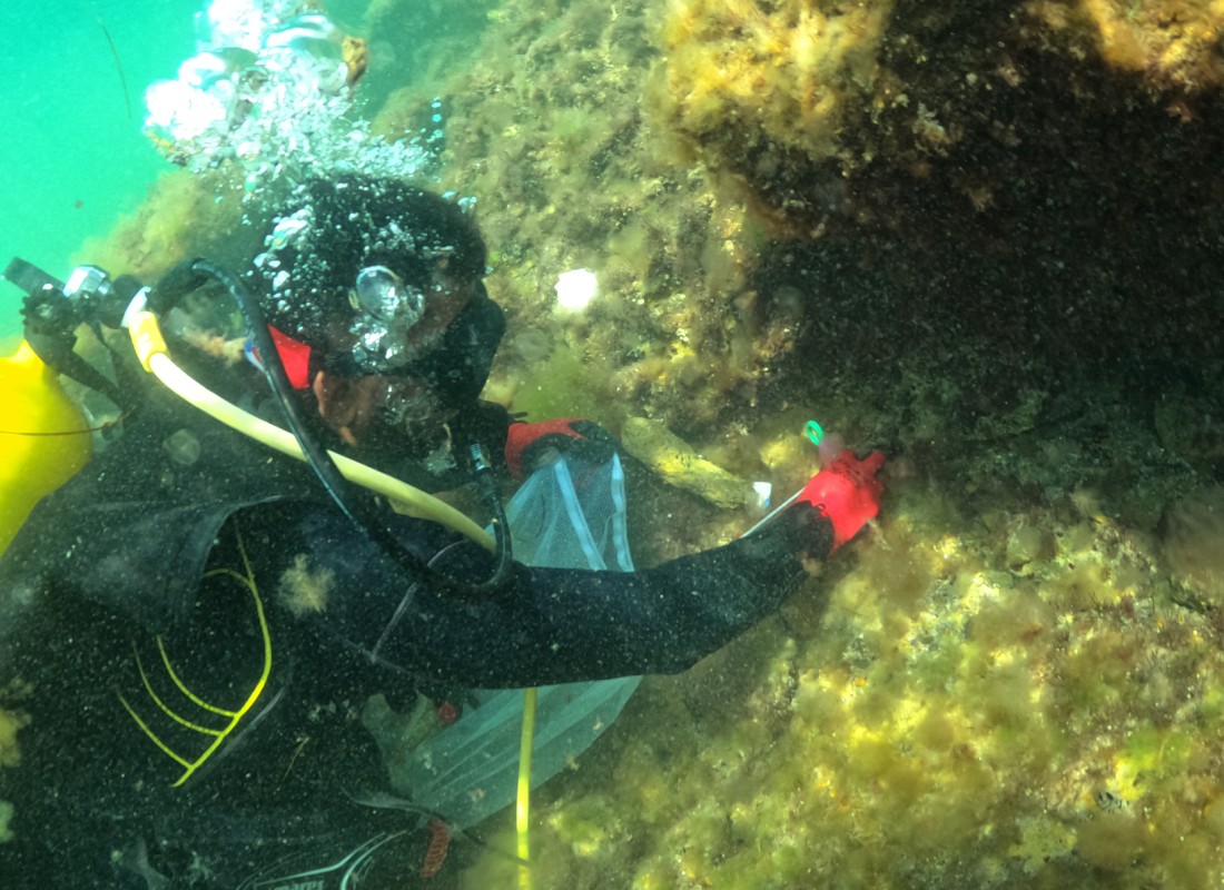 Second Cleanup Initiative at Qaranohur Gölü
